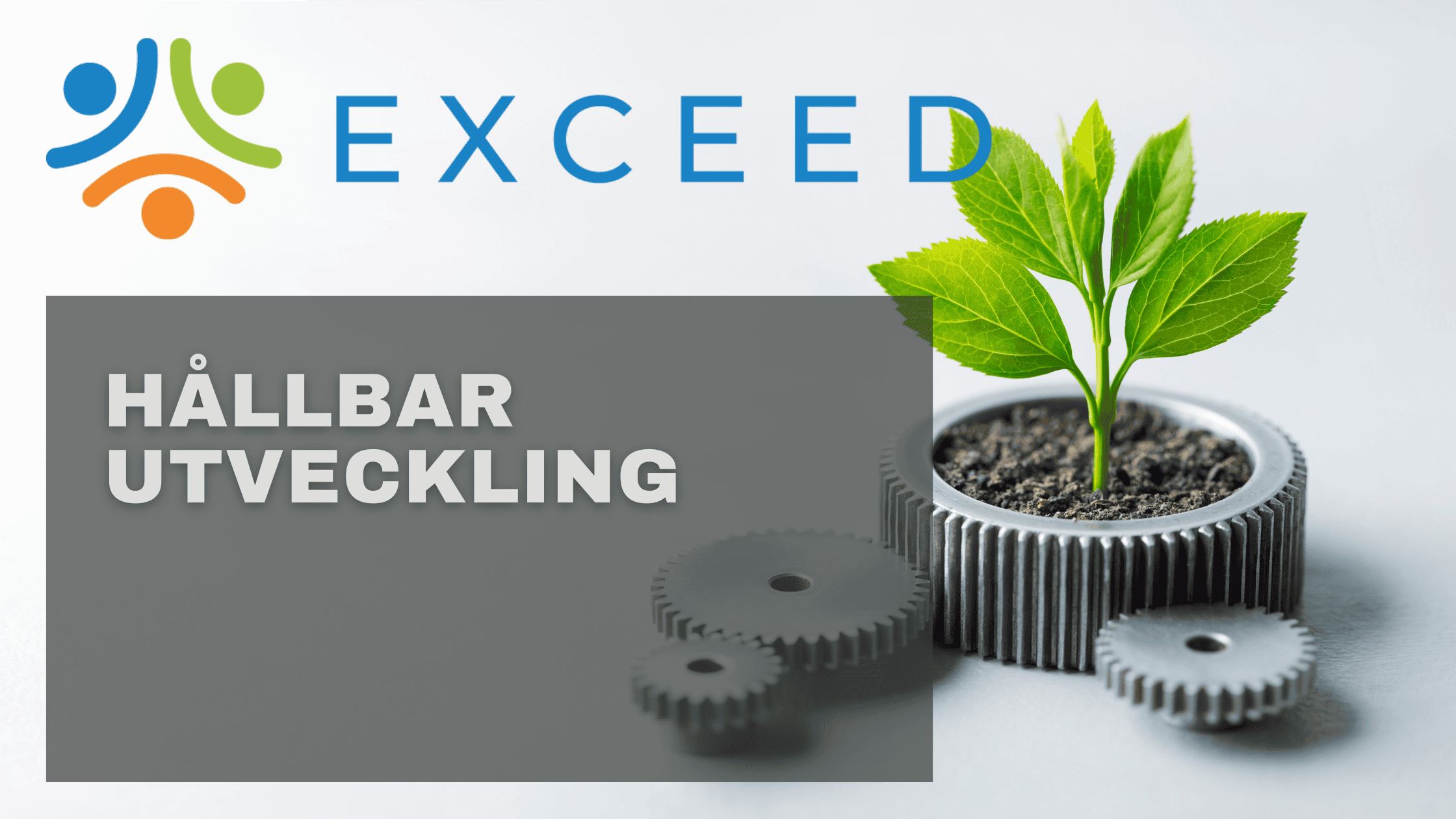 Hållbar utveckling Exceed